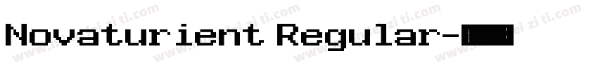 Novaturient Regular字体转换